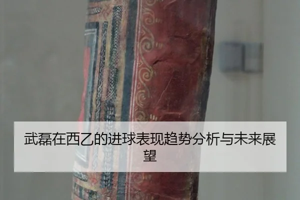 武磊在西乙的进球表现趋势分析与未来展望