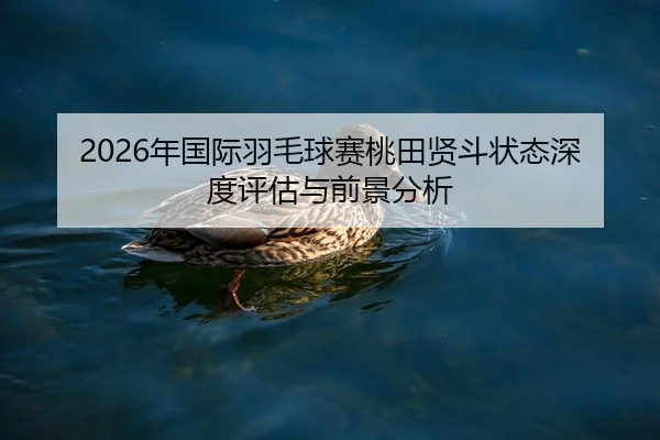 nian-guo-ji-yu-mao-qiu-sai-tao-tian-xian-dou-zhuang-tai-shen-du-ping-gu-yu-qian-jing-fen-xi-2-217.jpg