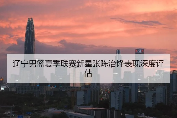 辽宁男篮夏季联赛新星张陈治锋表现深度评估