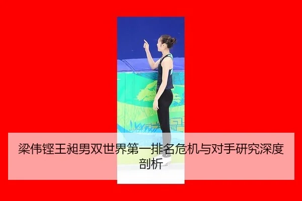liang-wei-keng-wang-chang-nan-shuang-shi-jie-di-yi-pai-ming-wei-ji-yu-dui-shou-yan-jiu-shen-du-pou-xi-2-995.jpg