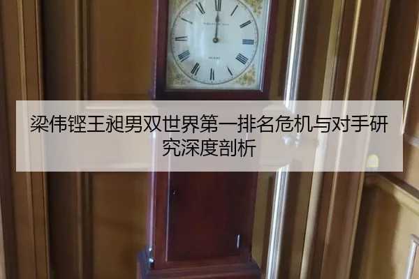 梁伟铿王昶男双世界第一排名危机与对手研究深度剖析