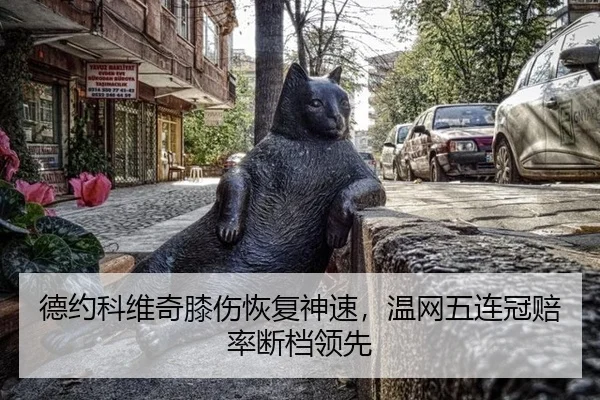 de-yue-ke-wei-qi-xi-shang-hui-fu-shen-su-wen-wang-wu-lian-guan-pei-lv-duan-dang-ling-xian-3-289.jpg