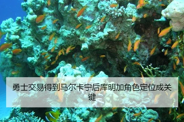 勇士交易得到马尔卡宁后库明加角色定位成关键
